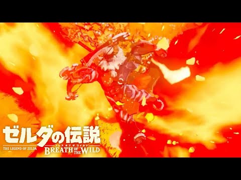 【BLSS爆撃ルート】ライネル討伐RTA：6分9秒20【ゼルダの伝説 ブレスオブザワイルド】