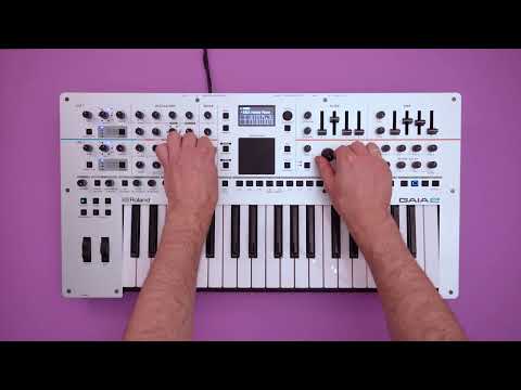 Roland GAIA 2 | House & Techno Jam (No Talking)