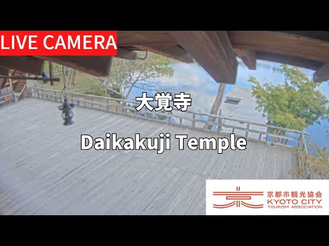 【LIVE】大覚寺（京都市観光協会公式）／Daikakuji Temple, Kyoto Live camera