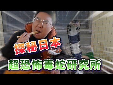 探秘毒蛇研究中心  竟然...還有蛇肉可以吃!!