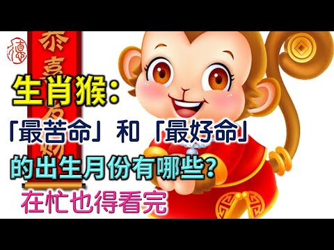 生肖猴：「最苦命」和「最好命」的出生月份有哪些？在忙也得看完