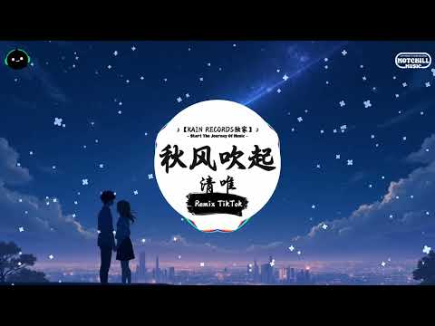 秋风吹起 (抖音DJ版) - 清唯『总是莫名的难过 总是忽然的失落，如果风知道我依然在想你 它会不会笑我。』♪ || 抖音好听洗脑的BGM | 抖音熱門 | 抖音 | TikTok ♪