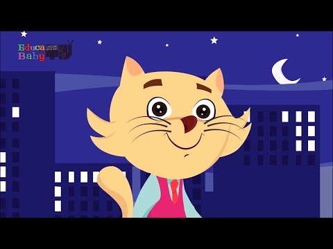 🐈🐱 Estaba el señor Don Gato - Canciones Infantiles - Canciones Clásicas