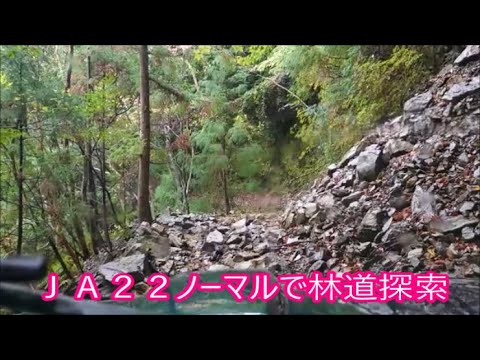 【名も無き林道シリーズ】ＪＡ２２　ＡＴフルノーマル車で林道探索 ※ただ林道を走るだけの動画です