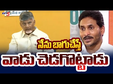 CM Chandrababu Comments On YS Jagan Behaviour in AP Development | Chandrababu Press Meet | TV5 News