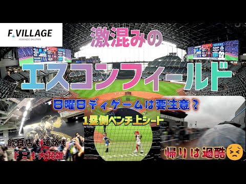 激混みのエスコンフィールド　昼食難民と帰りのバスには要注意！　１塁側ベンチ上のシートは快適でした😆👍