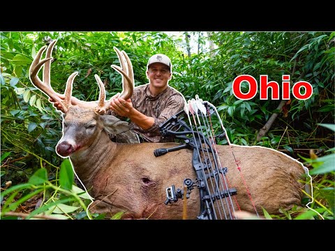 HEAVIEST WHITETAIL We’ve EVER Seen! (URBAN Ohio Bruiser!!)