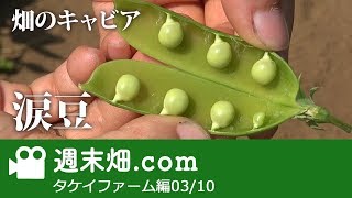 おいしい涙豆を判断する方法 タケイファーム