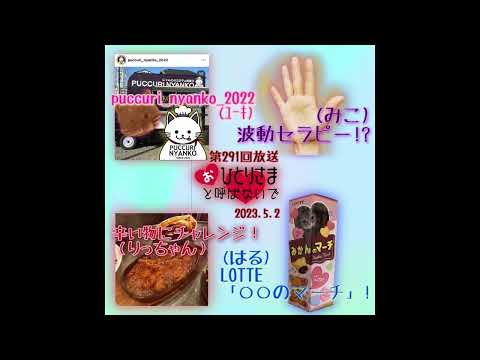 【2023/5/2】第291回　おひとりさまと呼ばないで