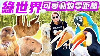 【新竹景點】「綠世界」生態農場，超萌動物近距離互動，全園區走透透  Hsinchu Taiwan