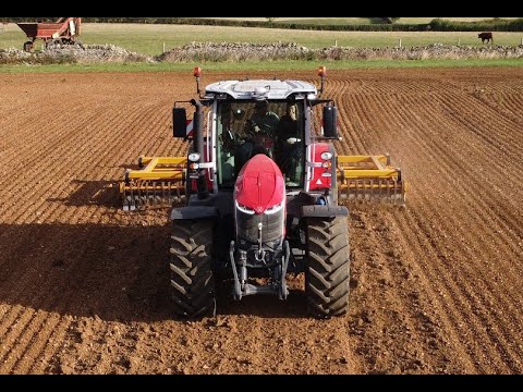 Massey Ferguson 8s 265 on light cultivations