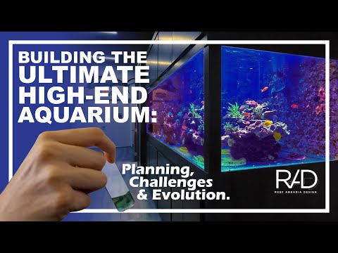 BUILDING THE ULTIMATE HIGH-END AQUARIUM: PLANNING, CHALLENGES AND EVOLUTION BY REEF AQUARIA DESIGN.