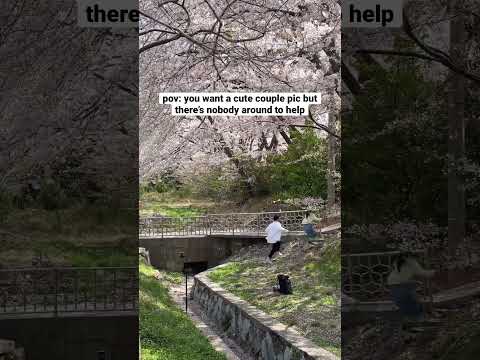 There was really nobody to help 🥲 #korea #cherryblossom #couple #couples