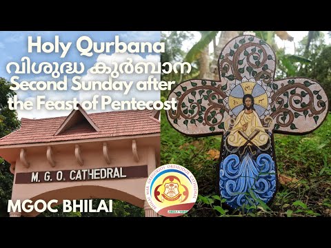 MGOC Bhilai | Mrng Prayer & Holy Qurbana| 11th Jun 2023 |Second Sunday after the Feast of Pentecost