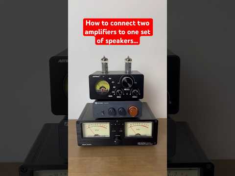 How to connect two amps to one set of speakers!          #audio #audioequipment #amplifier #speakers