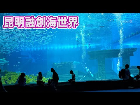 【昆明撮りっぱ】融创海世界の大水槽  2023年06月17日