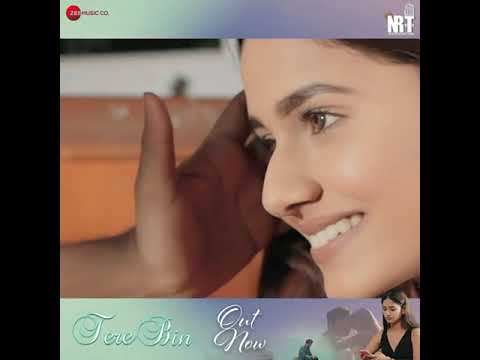 Tere Bin- Official video music...New Song 2021 ll Nitish Tiwari, Aditi Prasad, Richa kalra