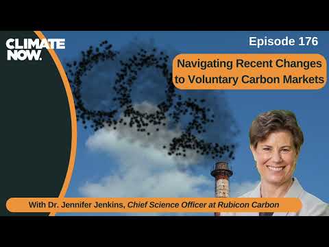 Navigating Recent Changes to Voluntary Carbon Markets