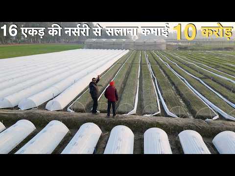 Low investment Vegetable Nursery Farming Profitable business idea India