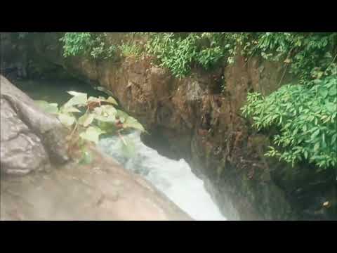 famous falls in Karnataka #falls #karntakafalls#beautiful #nature #naturelovers