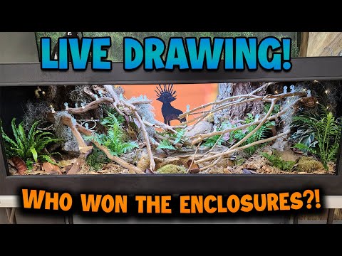 Snake Discovery Enclosure Live Drawing!