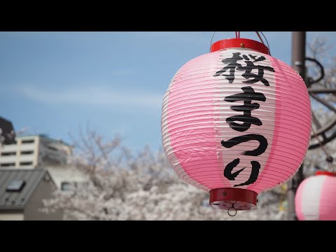 「桜まつり」について（多摩市長から皆さんへのメッセージ：令和6年4月19日）