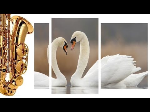 Душа, как Море, не стареет💟Новый трек🌊Музыка🌊Beautiful music