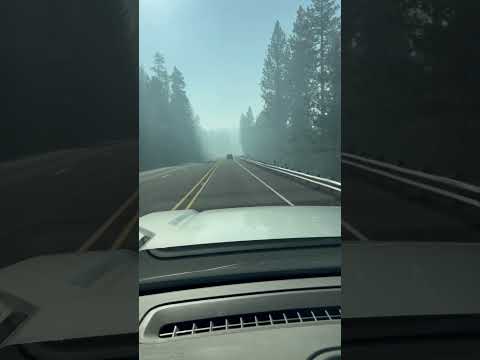 Smoke From Wildfires? Put The Fires Out Already! #oregon #wildfire #forestfire #smoke #fire