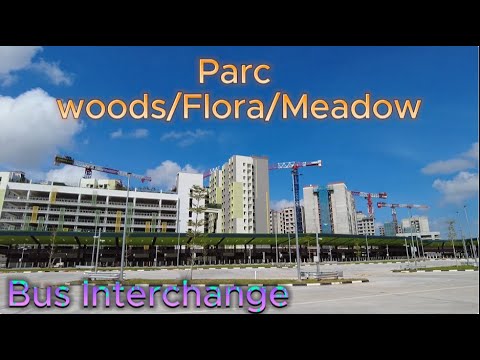 TENGAH BTO HDB🚌Tengah Boulevard Bus Interchange🚌Parc Woods☘️Parc Flora☘️Parc Meadow Tengah