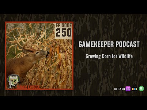 EP:250 | Growing Corn for Wildlife