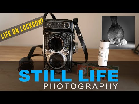 STILL LIFE PHOTOGRAPHY | Yashica MAT124 with Fomapan Film