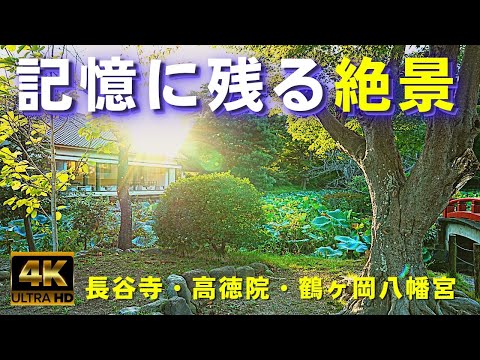 ★日本の絶景★鎌倉「長谷寺・高徳院鎌倉・鶴ヶ岡八幡宮」観光