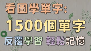 圖像式學習 看圖學1500個基礎英文單字 快速掌握   #英文單字 #英語實用單字 #看圖學英文單字