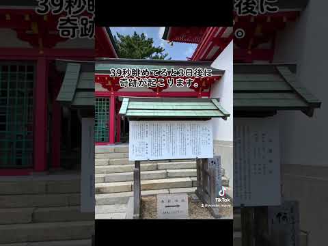 ⛩️神社からパワーをパワーを頂きあなたに強運を