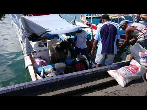 C66【5フィジー進出調査記録2018】 TSUKIJI FISH MARKET Inc  by 市場系youtuber疋田拓也Takuya Hikita～Suva & Lautoka Fiji～