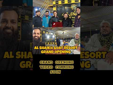 AL SHAIKH GOAT 🐐 RESORT GRAND OPENING FULL VIDEO COMMING SOON #bakrebaaz