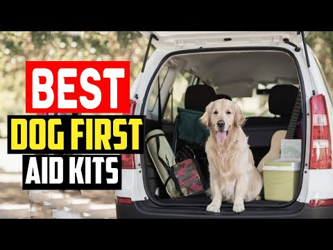 ✅Top 5 Best Dog First Aid Kits in 2024