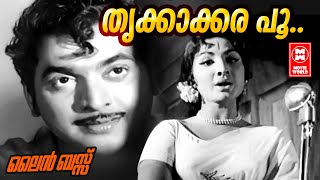 Thrikkakara Poo Poranju - Line Bus (1971) | Vayalar Ramavarma | G Devarajan | P Madhuri | Film Songs