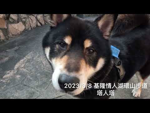 2023/3/8 基隆情人湖步道 、情人塔 #shibainu #trail #taiwantravel #基隆景點 #柴犬