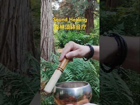 頌缽音疗Sound Healing #soundhealing #soundbowl #nature #shorts