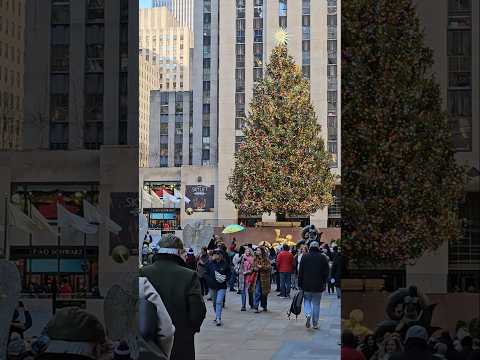 Christmas Tree 🎄 at Rockafeller Center😍 #christmas #tree #placestovisit