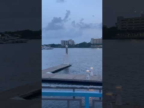 #tampa #riverwalk beautiful view in the dusk. #florida #tampariverwalk #