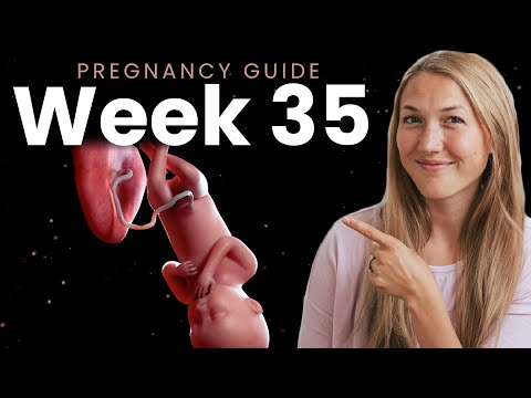 35 Weeks Pregnant | Week By Week Pregnancy