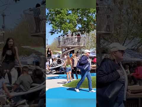 BIN&BIN | A Good Sunshine Sunday at Klyde Warren Park