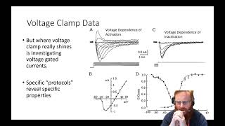 Electrophysiology 7 - Interpretation of Intracellular data