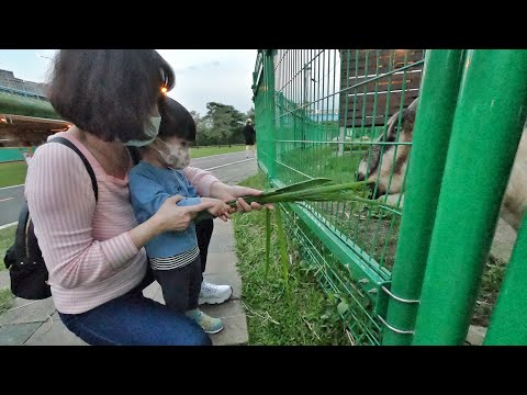 2022/4/23｜浮洲橋河濱公園