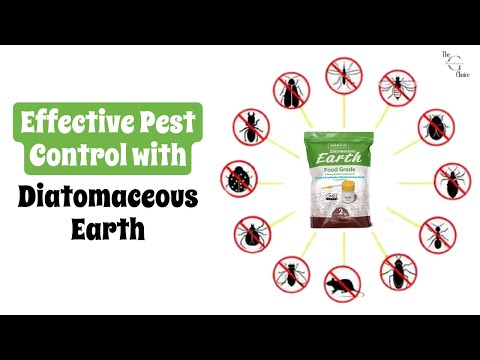 Effective Pest Control with Diatomaceous Earth - Complete Guide & Tips