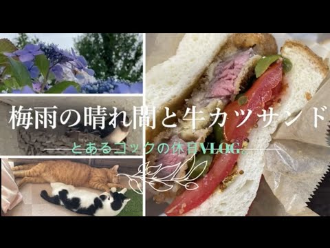 梅雨の晴れ間と牛カツサンド　＃牛カツ　＃料理　＃VLOG　＃保護猫