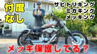 【ガチレビュー】愛車メンテ。みんな！メッキの保護してる？メッキング・ミガキング・サビトリキング