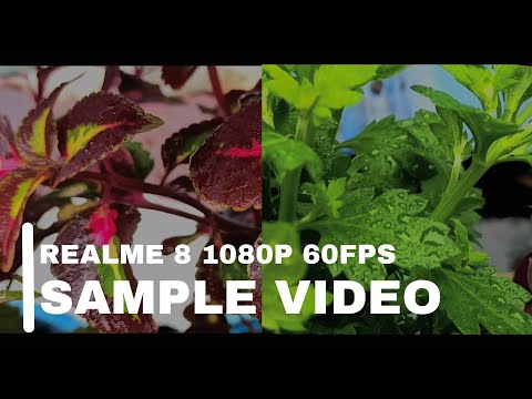 REALME 8 1080P 60FPS SAMPLE VIDEO #video #realme8 #realmeph